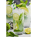 MINT MOJITO