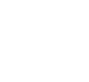 The Grand Indian